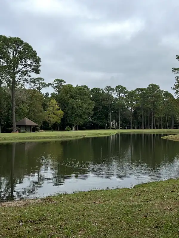 pond maintenance after #2
