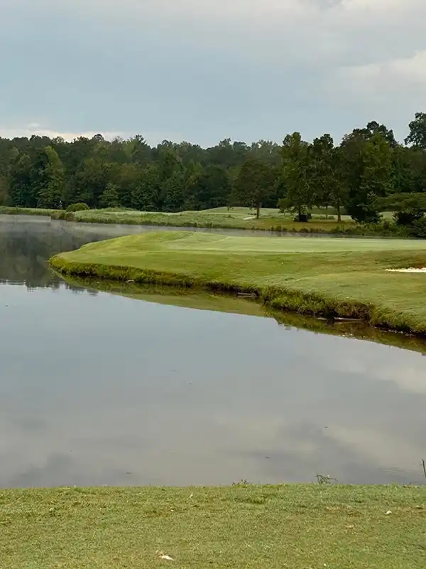 algae control after #8