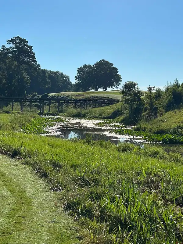 pond maintenance before #6