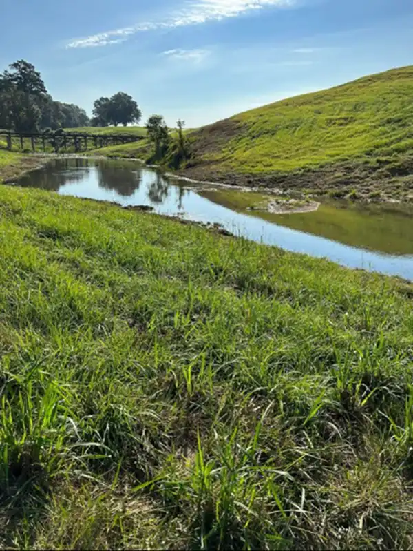 pond maintenance after #6